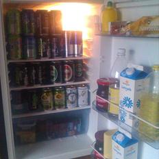 Landejendom Æ store gård