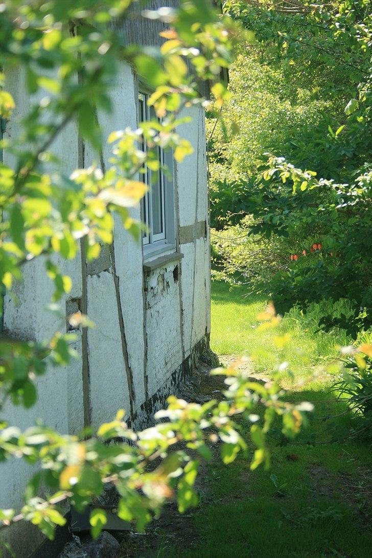 Landejendom 6 Enghavegaard billede 5