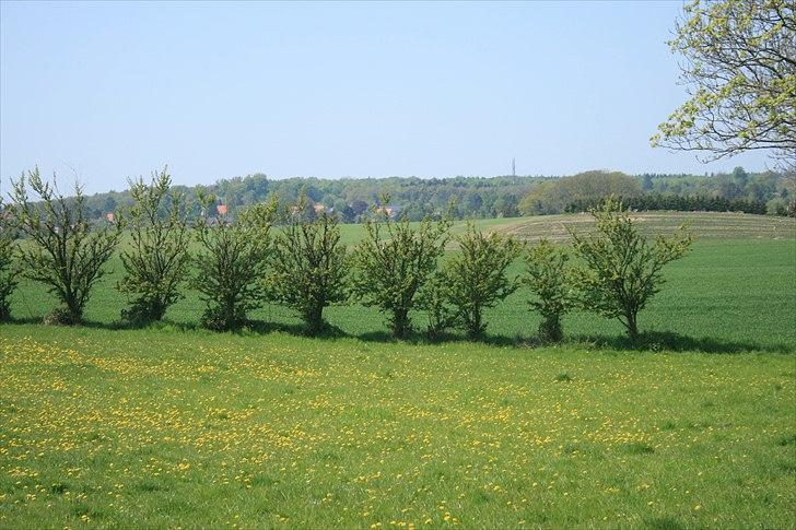 Landejendom 6 Enghavegaard billede 6