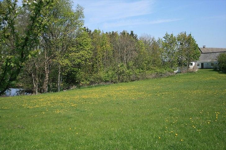 Landejendom 6 Enghavegaard billede 8