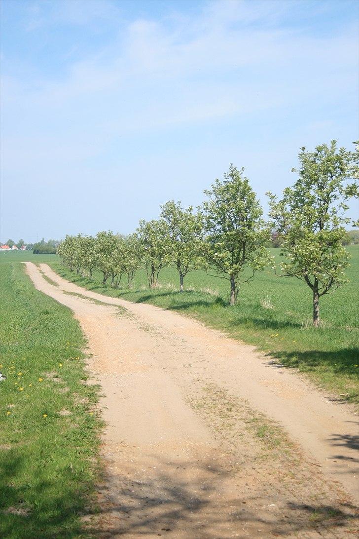 Landejendom 6 Enghavegaard billede 13