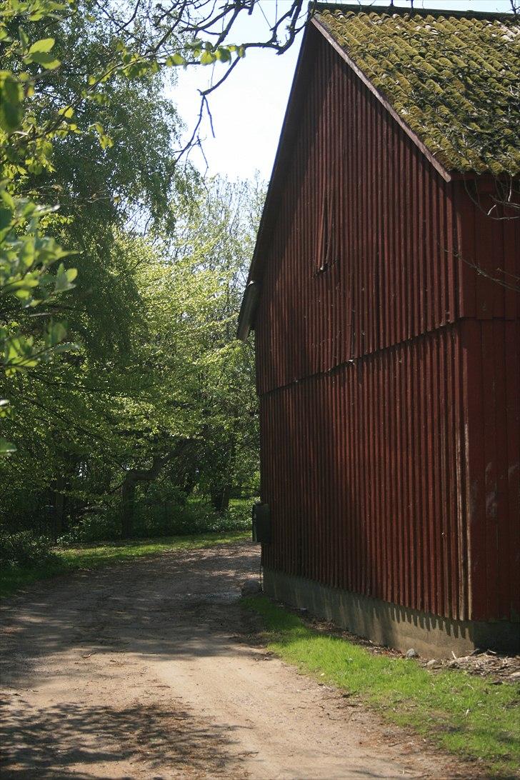 Landejendom 6 Enghavegaard billede 14