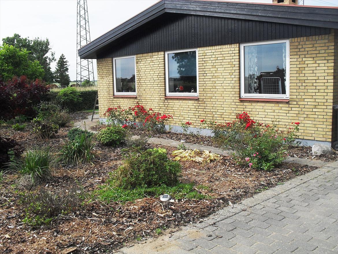 Landejendom 3 - Vi har fået malet gavlen sort istedet for den grimme hvide farve den var billede 9