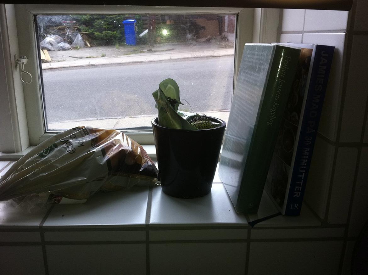 Lejlighed 1 1/2 billede 9