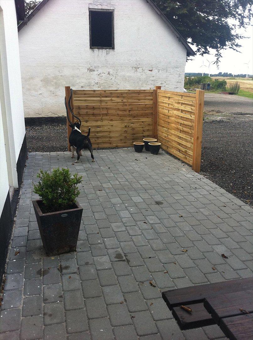 Rækkehus 2 - Terrasse billede 12