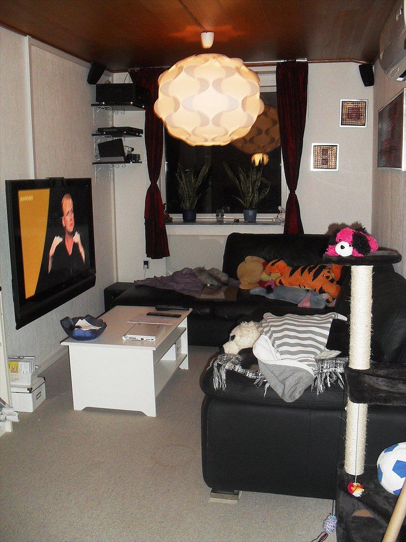 Landejendom 3 - Vores nye hygge stue billede 16