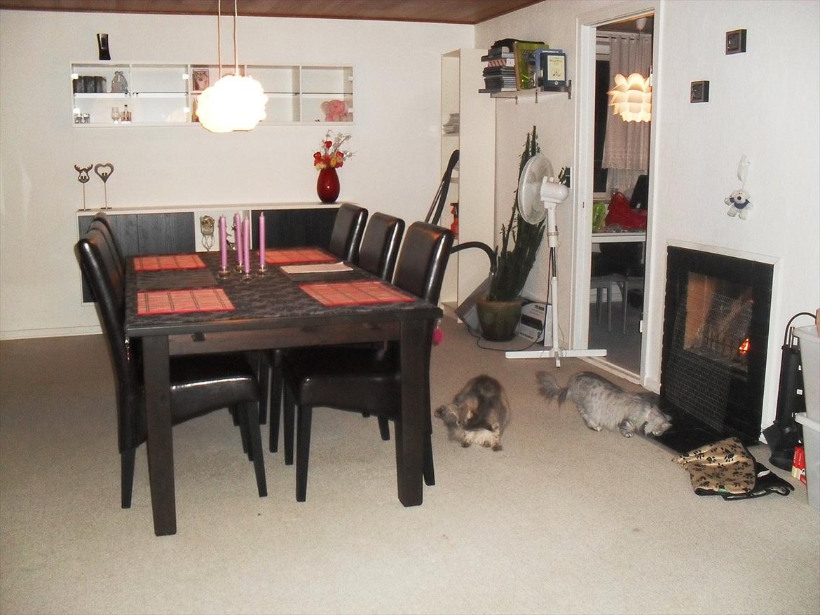 Landejendom 3 - Vores nye spisestue billede 17