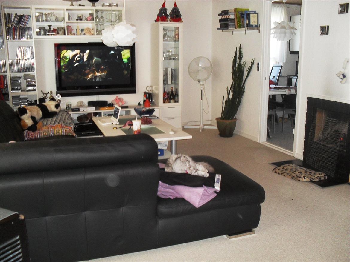 Landejendom 3 - Vores gamle stue billede 18