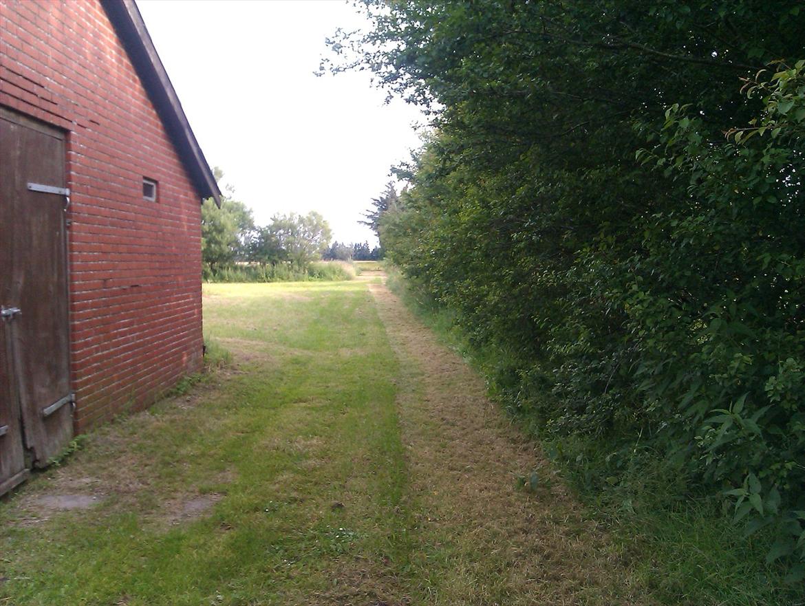 Landejendom Æ store gård billede 4