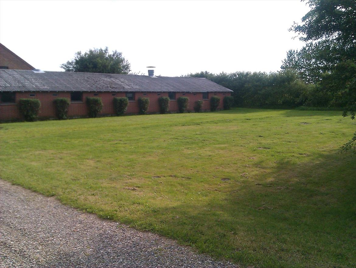 Landejendom Æ store gård billede 5