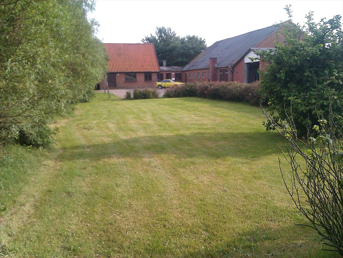 Landejendom Æ store gård billede 6
