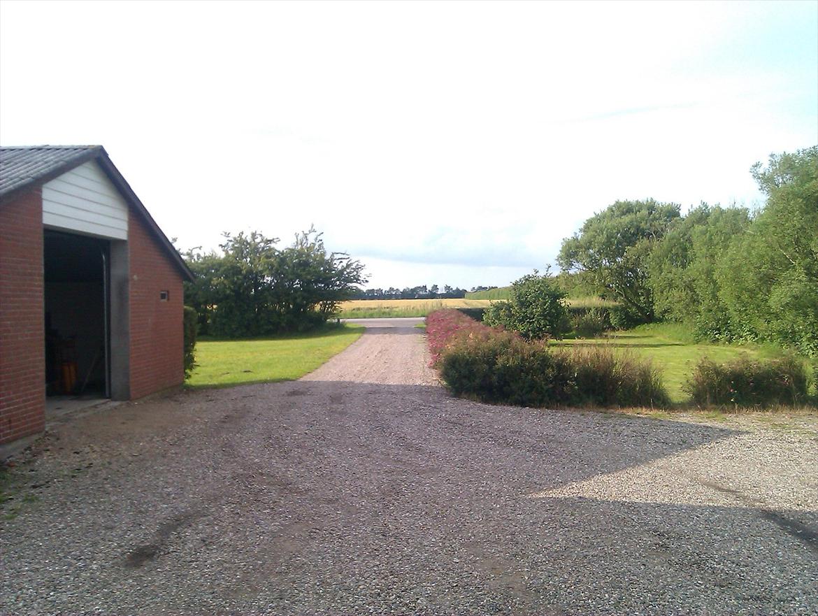 Landejendom Æ store gård billede 7