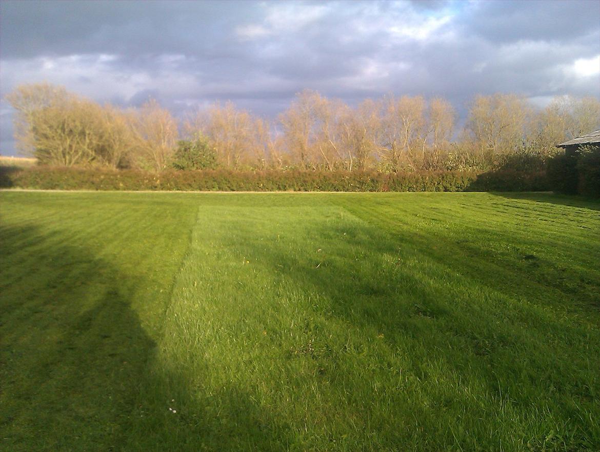 Landejendom Æ store gård billede 9