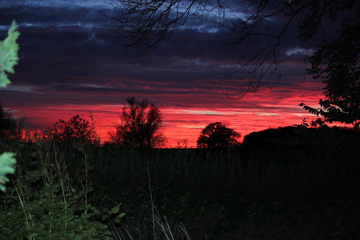 Villa 7 - Solnedgang taget fra haven. billede 18