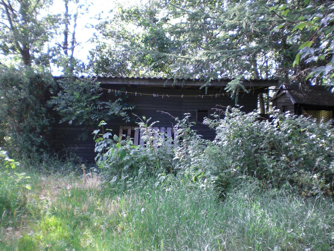 Villa 3½ billede 8