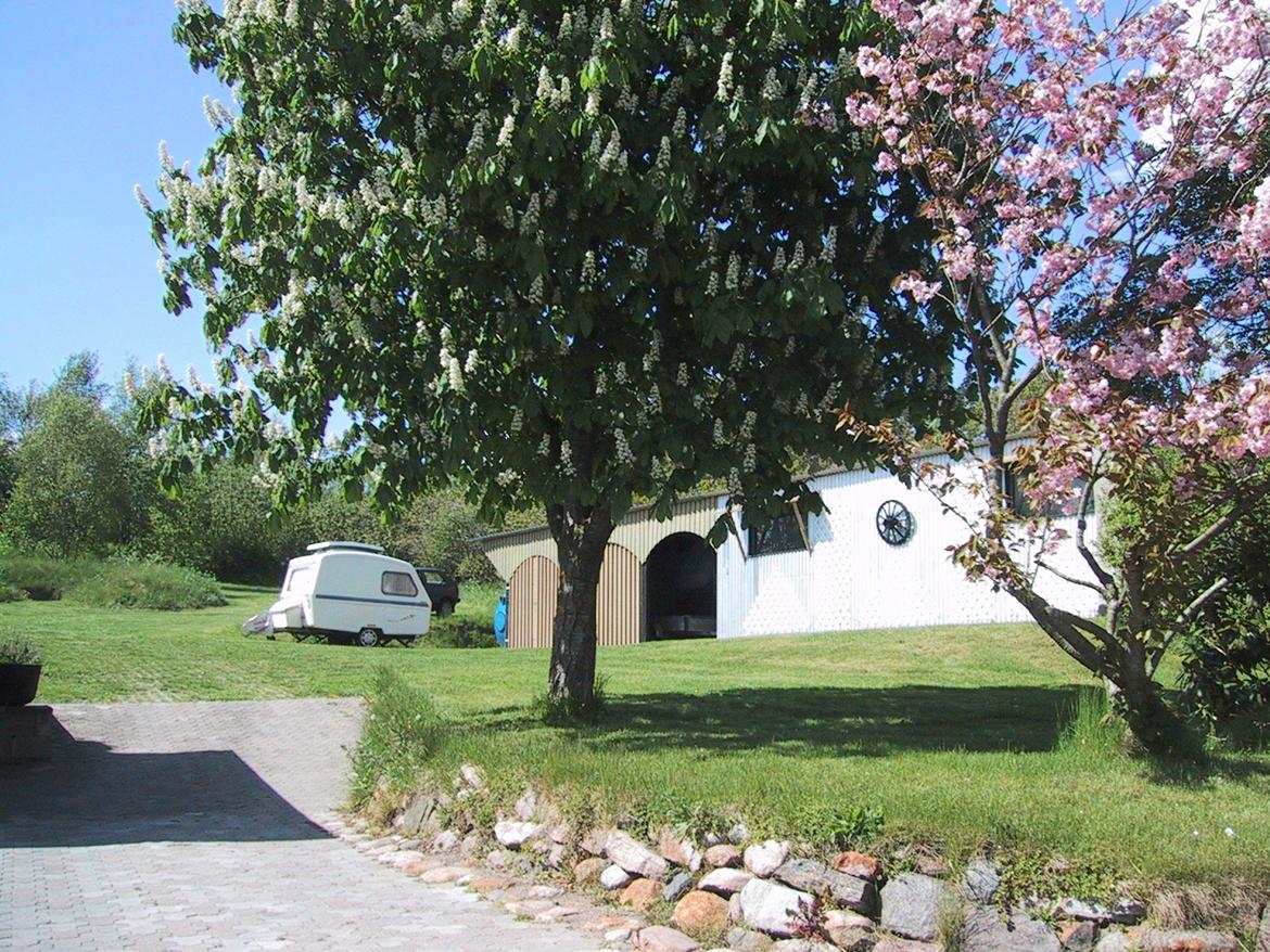 Villa 3 billede 8