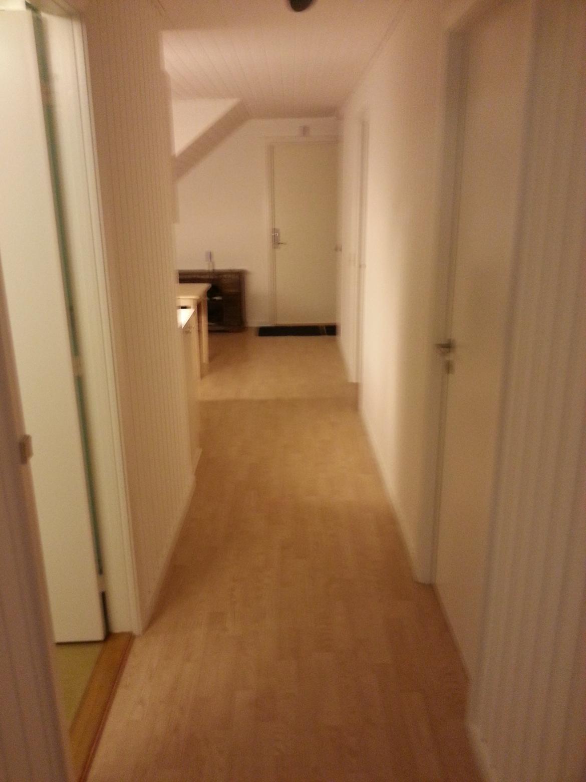 Lejlighed 3 billede 8