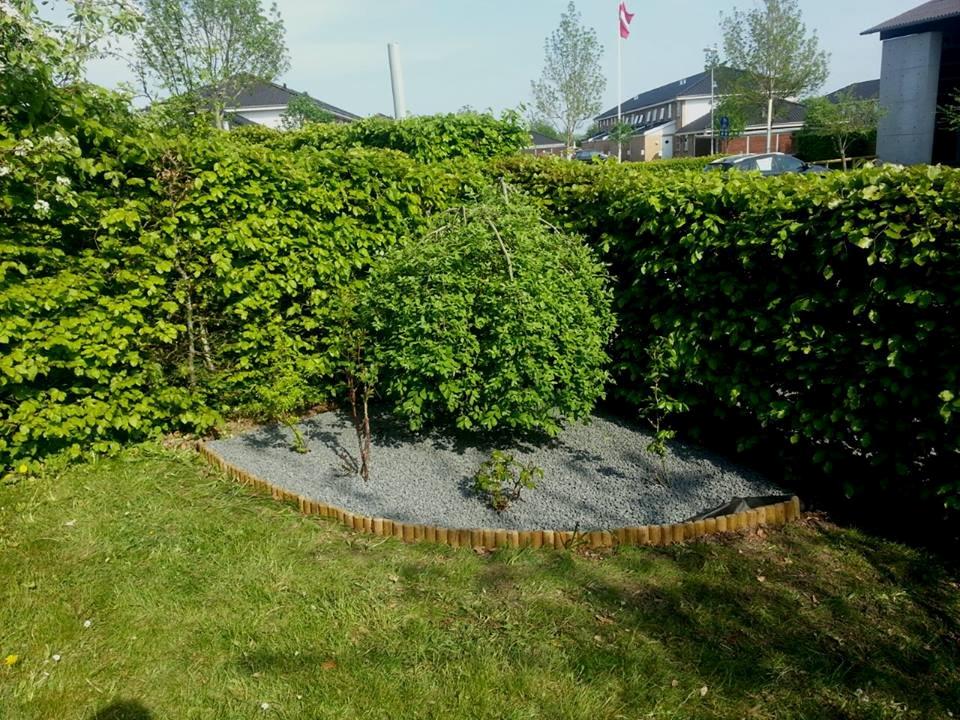 Lejlighed 2 - Det ene bed i haven. billede 18