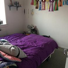 Lejlighed 2 Værelses