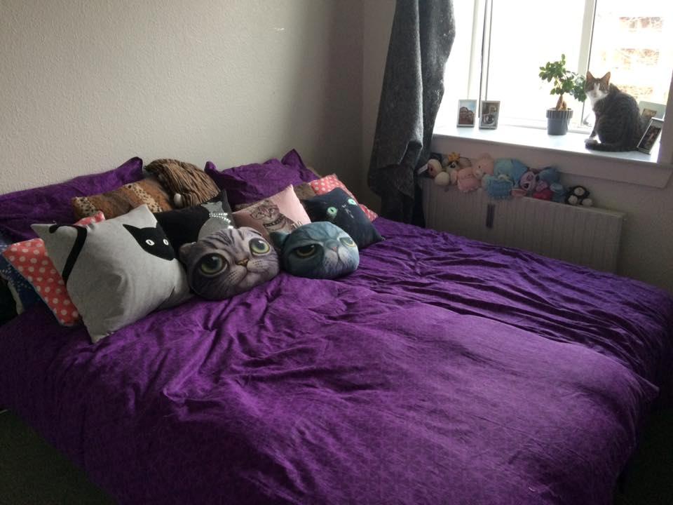 Lejlighed 2 Værelses billede 1