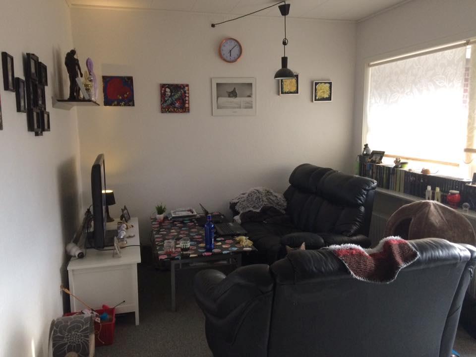 Lejlighed 2 Værelses billede 3