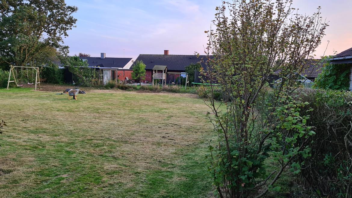 Villa 3 værelser, 2 badeværelser på lukket villavej - Igang med omlægning af haven billede 13