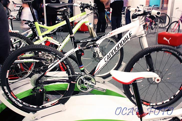 Cykelmesse - Vejle 2010 billede 8