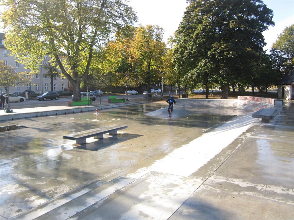 Fælledparken Skatepark  billede 5