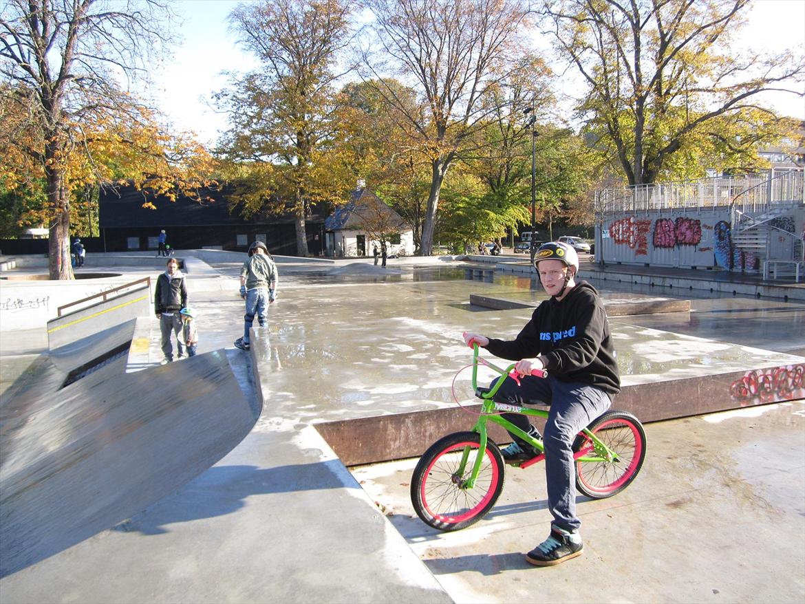 Fælledparken Skatepark  billede 7