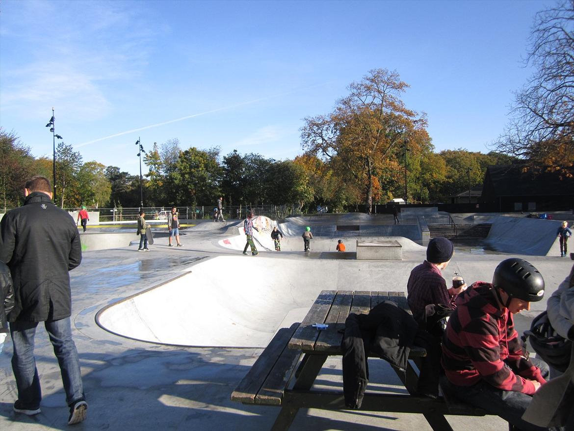 Fælledparken Skatepark  billede 10