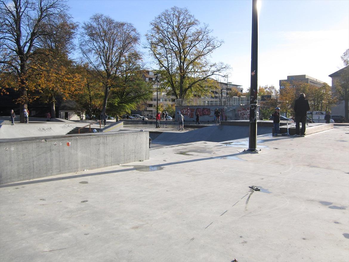 Fælledparken Skatepark  billede 11