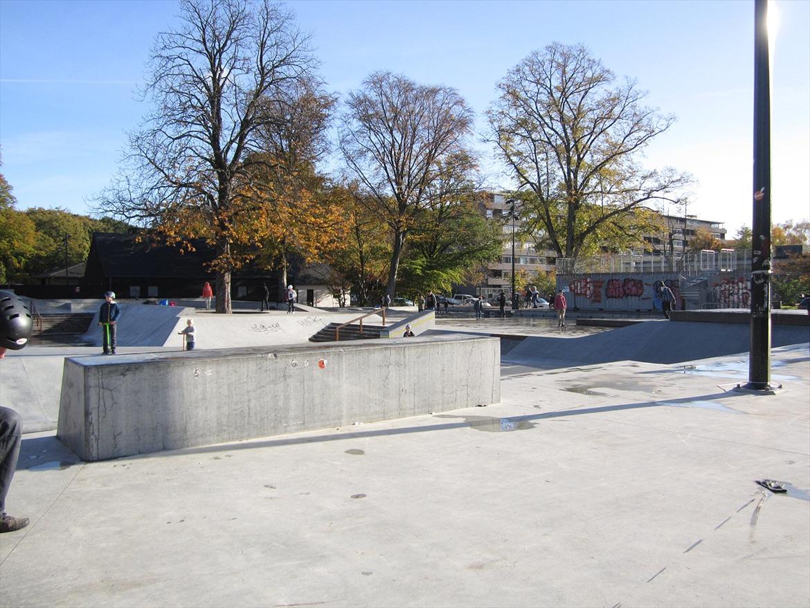 Fælledparken Skatepark  billede 12