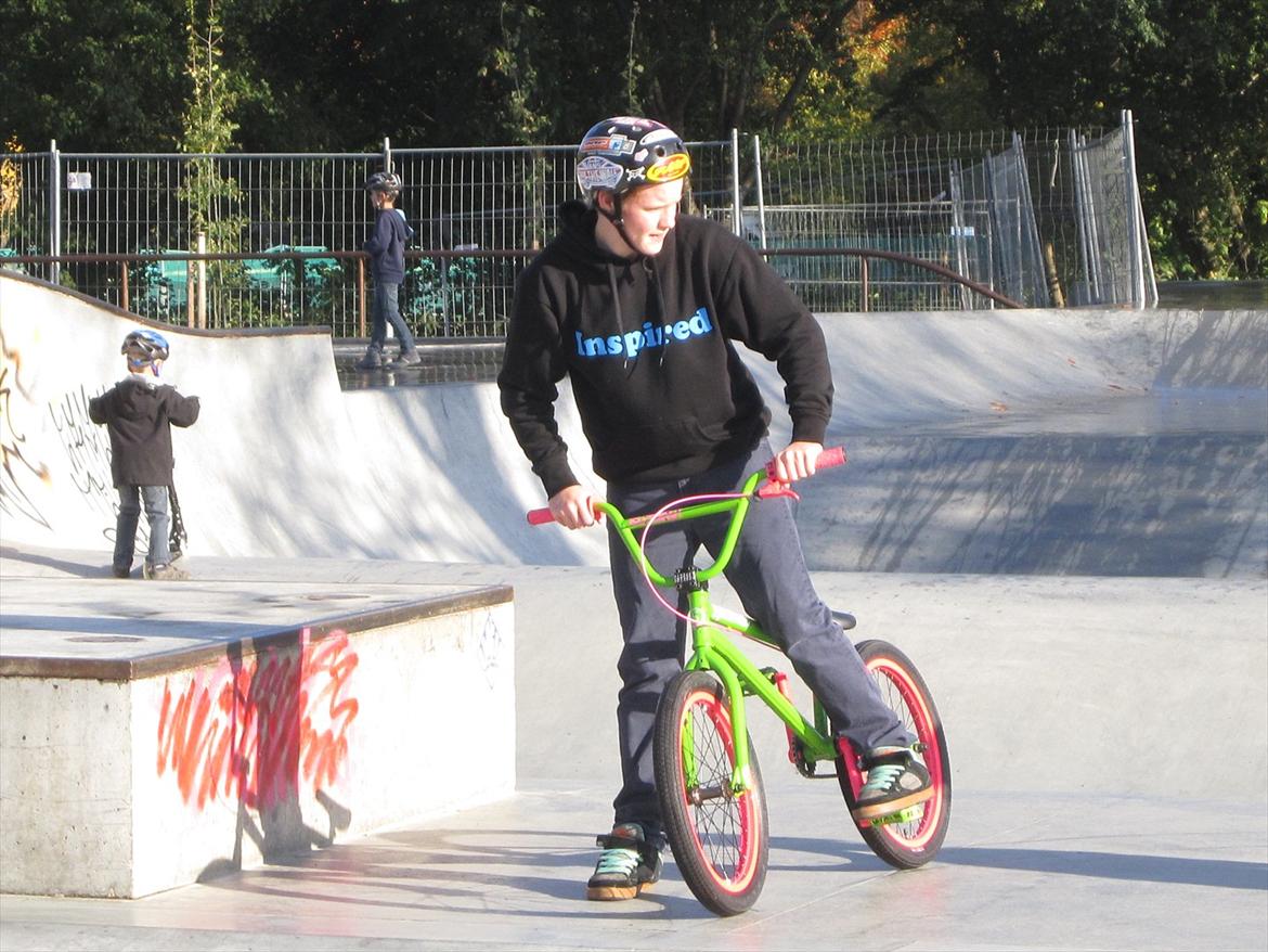 Fælledparken Skatepark  billede 14