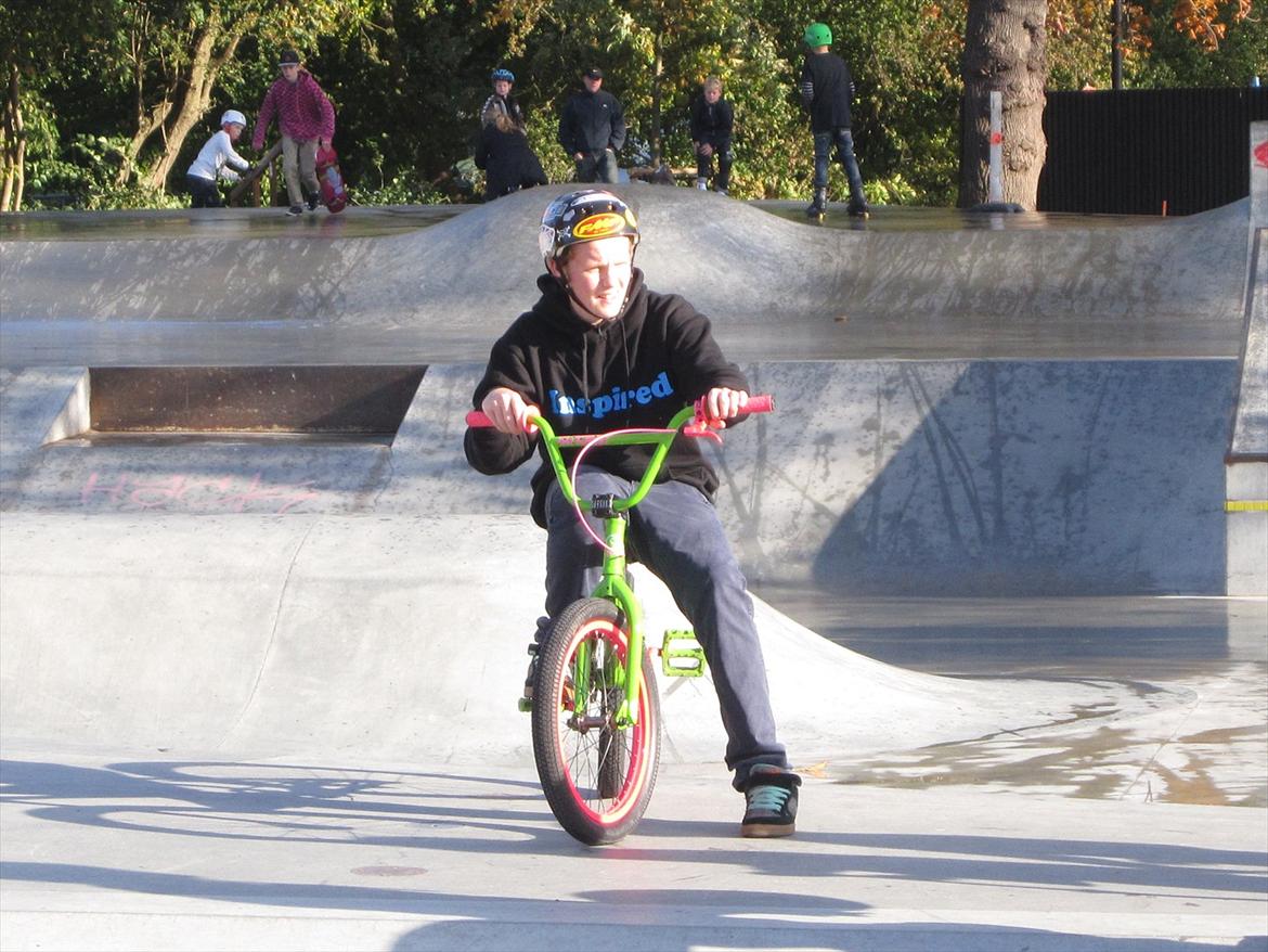 Fælledparken Skatepark  billede 15