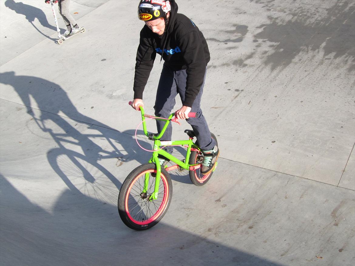 Fælledparken Skatepark  billede 18
