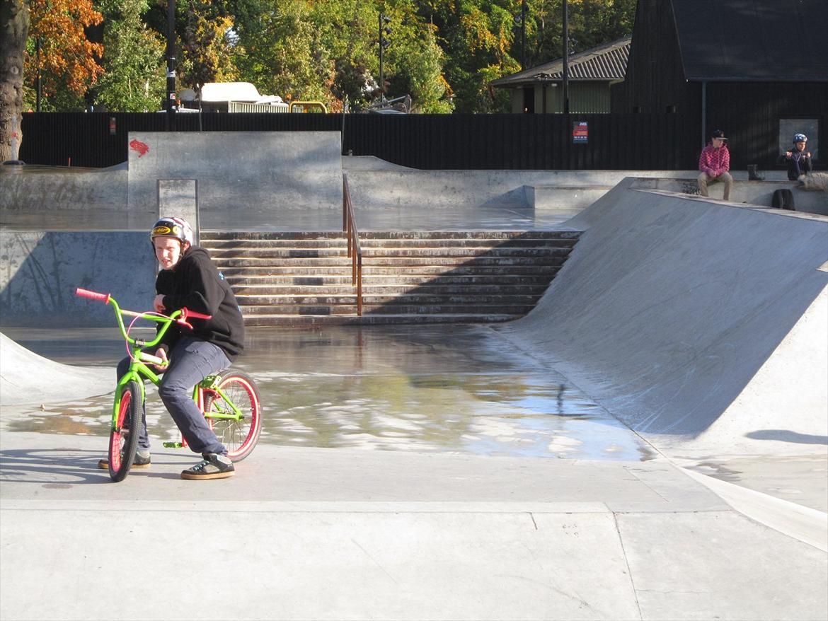 Fælledparken Skatepark  billede 19