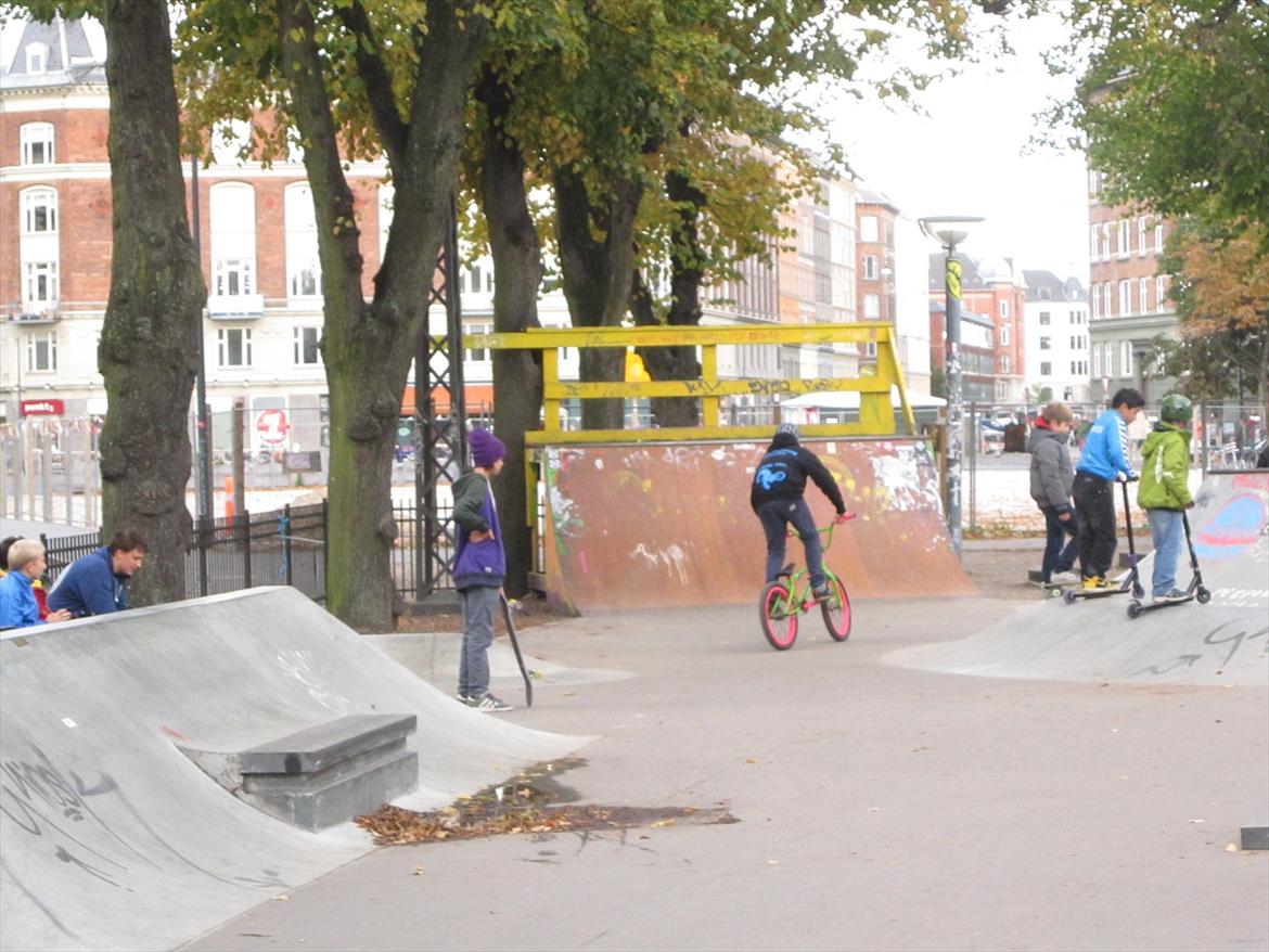Fælledparken Skatepark  billede 25