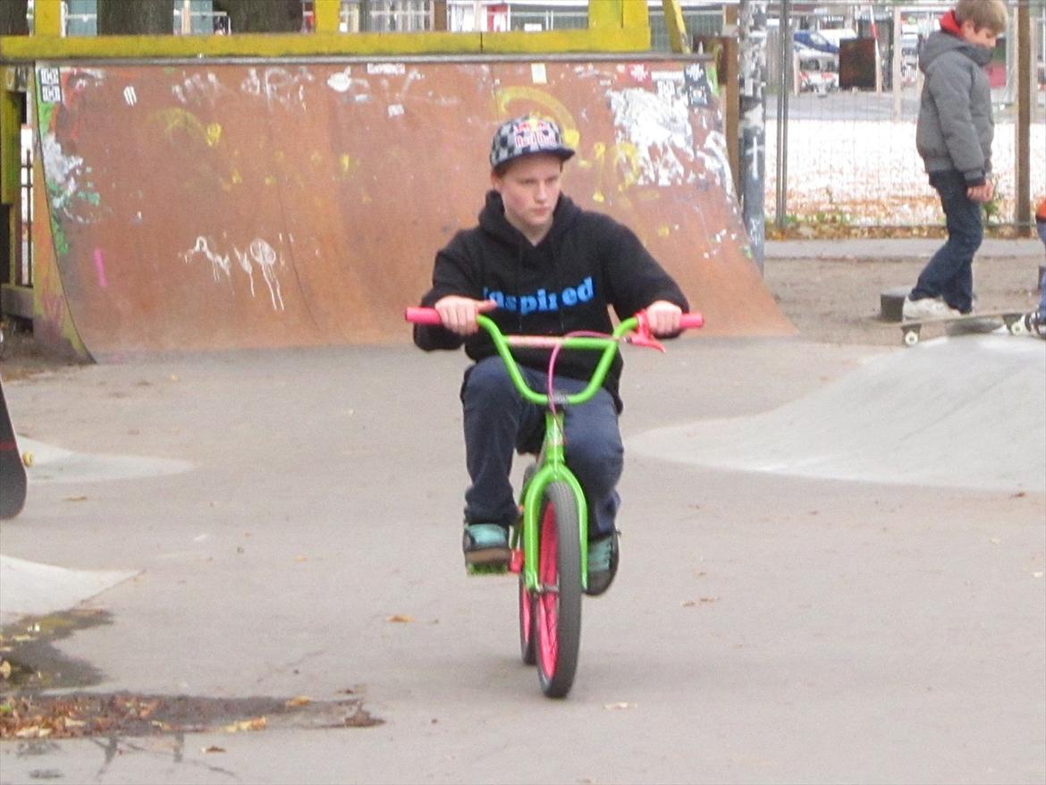 Fælledparken Skatepark  billede 26