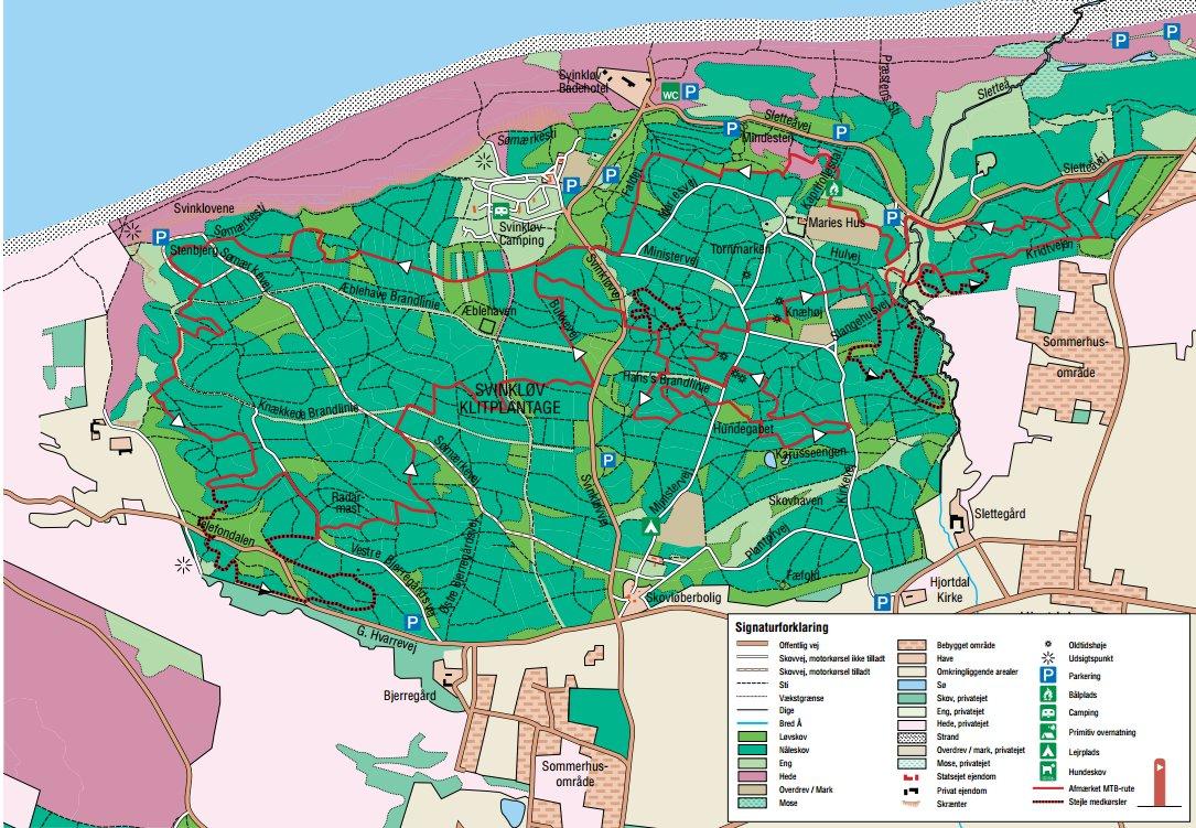 De 10 spir - Svinkløv klitplantage billede 3