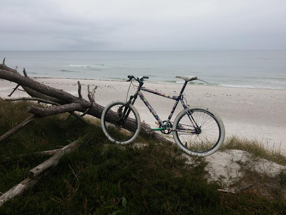 single speed mtb