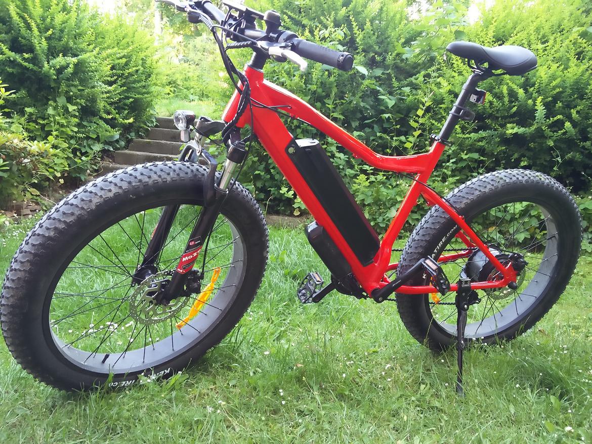 Steamoon fatbike billede 1