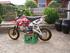 Minimotocross / MXM