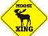 MOOSETEAM DIRT STADIUM VOL. 5