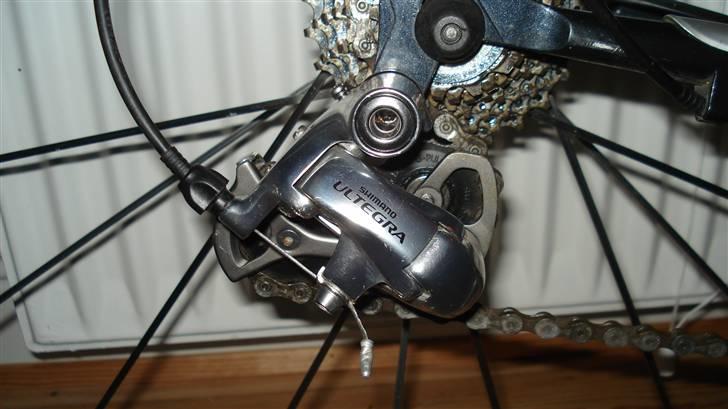 Min gamle Pinarello paris (alu) billede 8