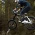 Steffen C