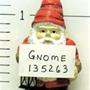 Gnom G