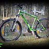 ScooterfjæsG55 .