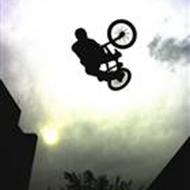 nicklas t
