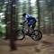 Andreas P