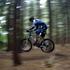 Andreas P